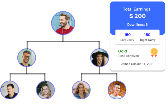 Optimized Binary MLM Software for Binary Compensation Plan