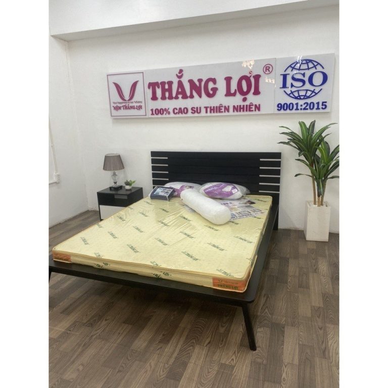 Nệm cao su non Thắng Lợi 1m6 x 2m x 20cm - NỆM THẮNG LỢI