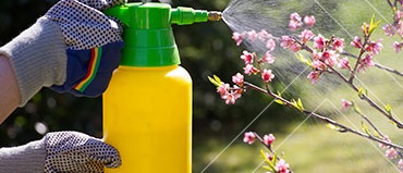 Fungicides Market Size, Share, Industry Trends, and Forecast 2029