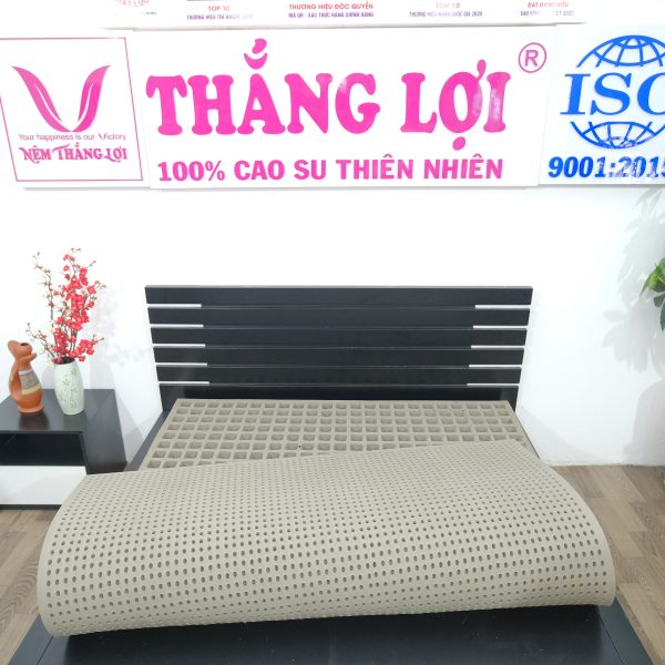 Top 5 cửa Hàng Bán Nệm Cao Su Non Bắc Ninh - KHO NỆM THẮNG LỢI