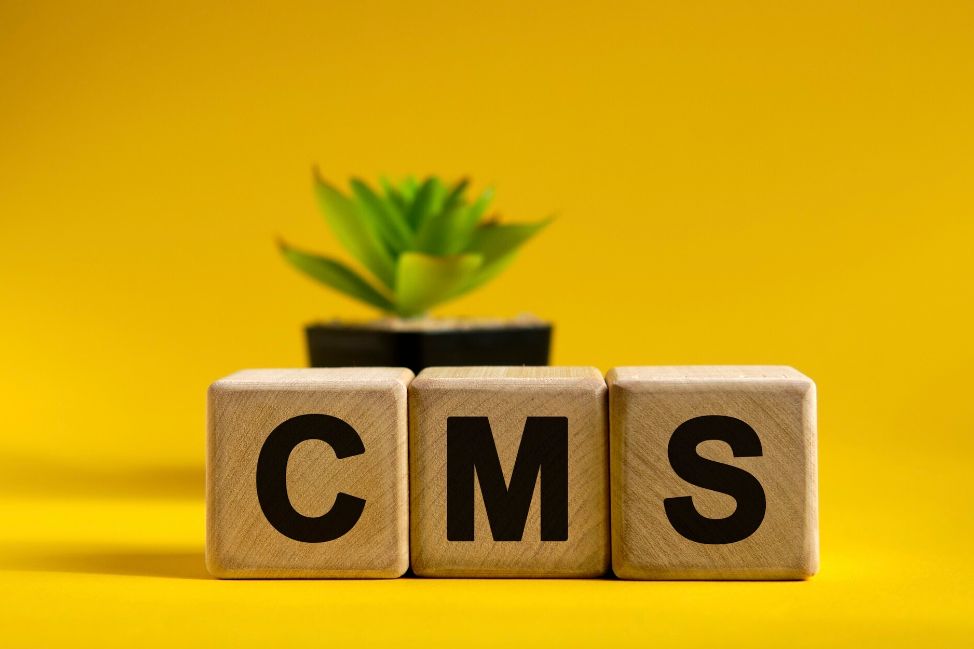 How to Choose Top CMS Platform for Your Australian Business? - SmartOSC