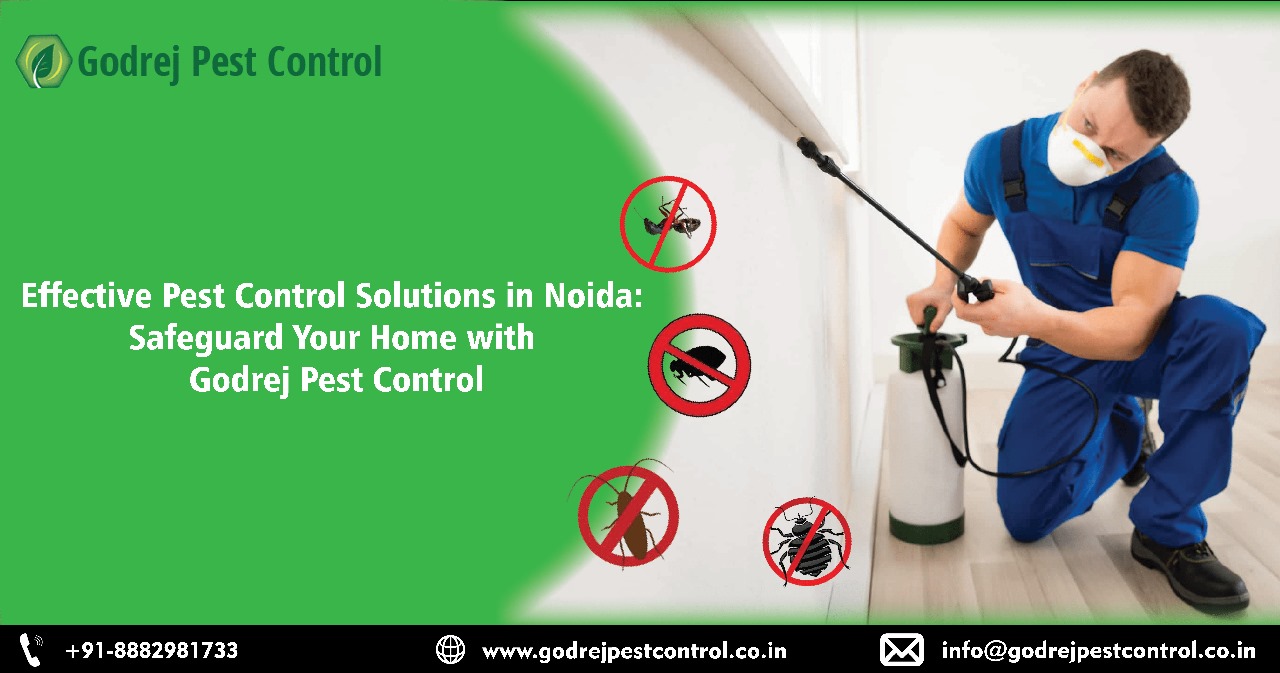 Effective Pest Control Solutions in Noida: Safeguard Your Home with Godrej Pest Control – Godrej Pest Control