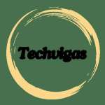 techvigas