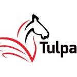 Tulpar Global Taxation