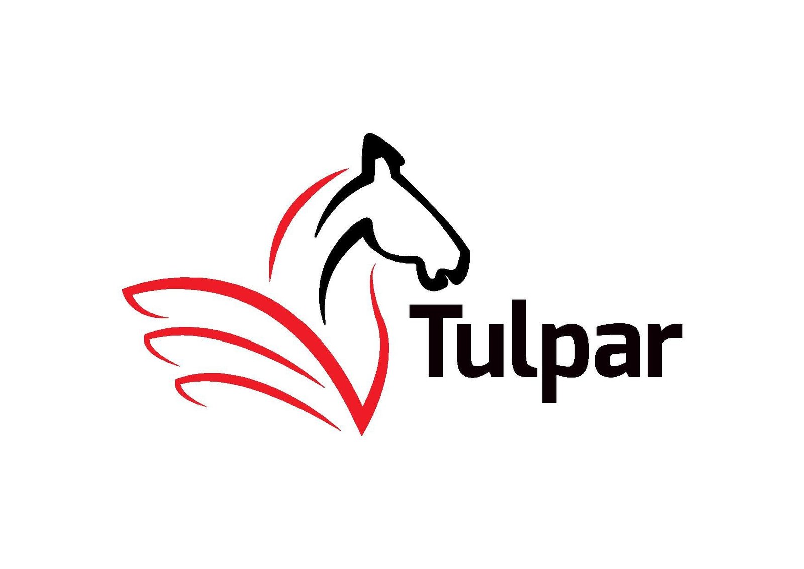 Top Tax Consultants in Dubai - Tulpar Global Taxation