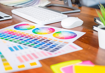 Creative Media Designer Career Guide: From Beginner to Pro