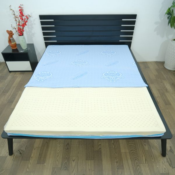 Nệm Cao Su 100% Massage Rosi Thắng Lợi 1m x 2m x 5cm - NỆM THẮNG LỢI