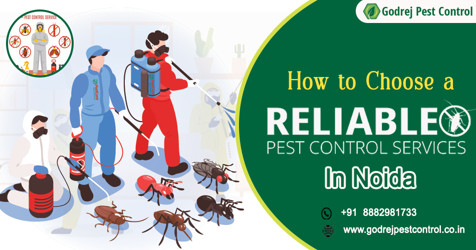 How to Choose a Reliable Pest Control Service in Noida – Godrej Pest Control