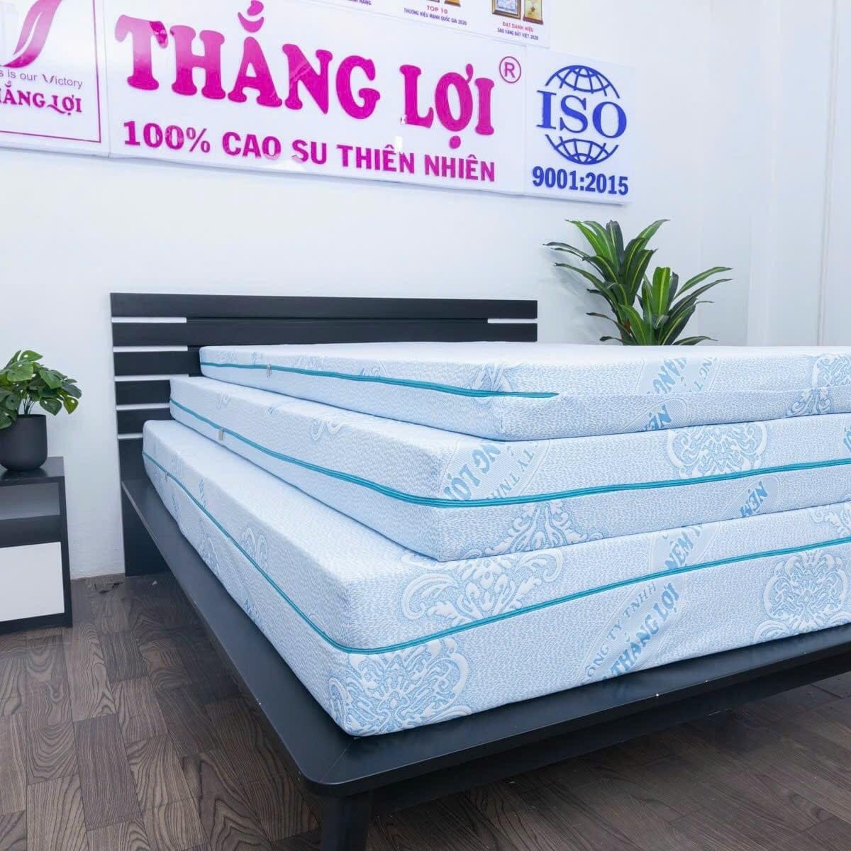 Nệm Cao Su 100% Massage Rosi Thắng Lợi 1m x 2m x 10cm - NỆM THẮNG LỢI