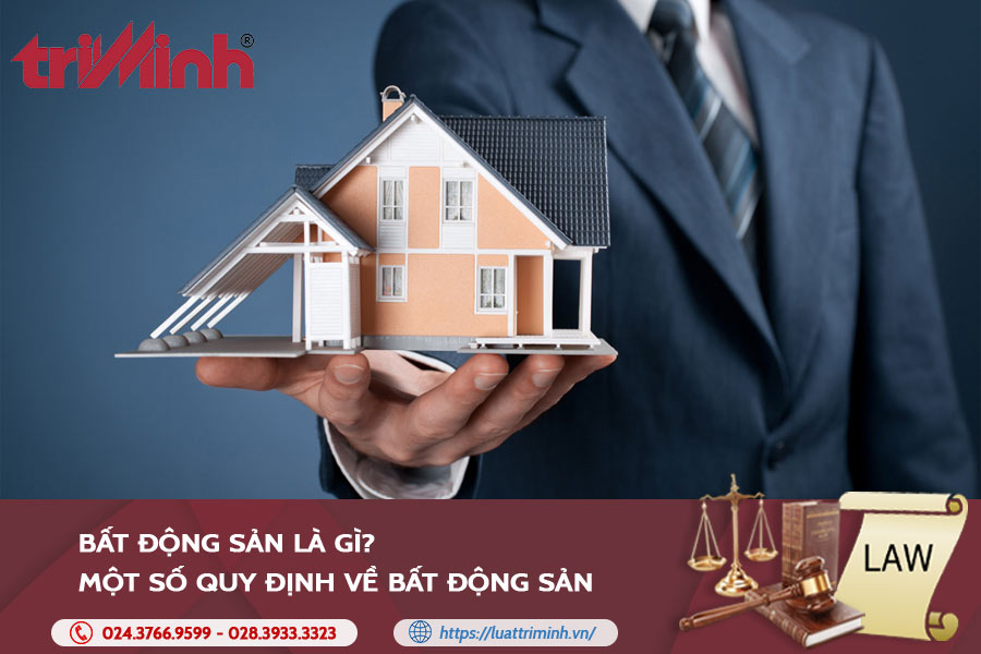 Bất động Sản Là Gì? Một Số Quy định Về Bất động Sản - Luật Trí Minh