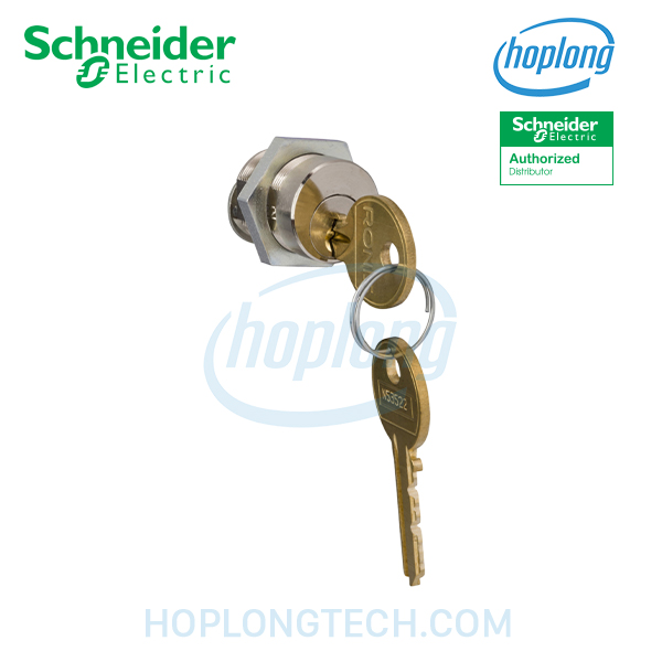 41940 Schneider - Khóa Ronis - NS Series
