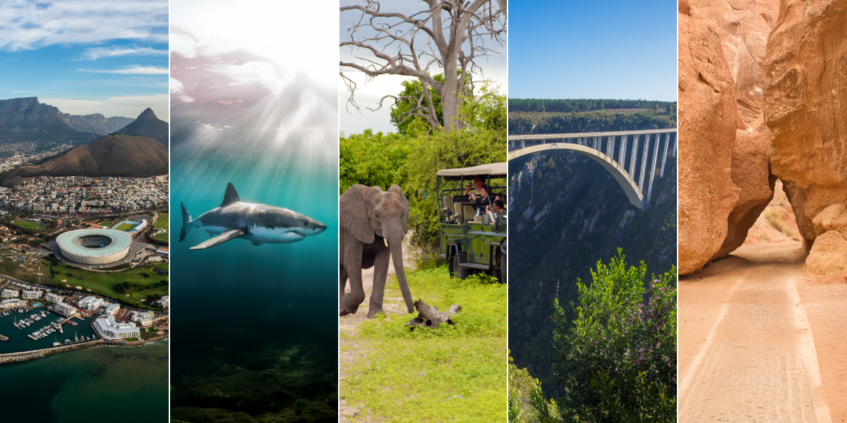 5 Thrilling South African Adventure Tourism Experiences