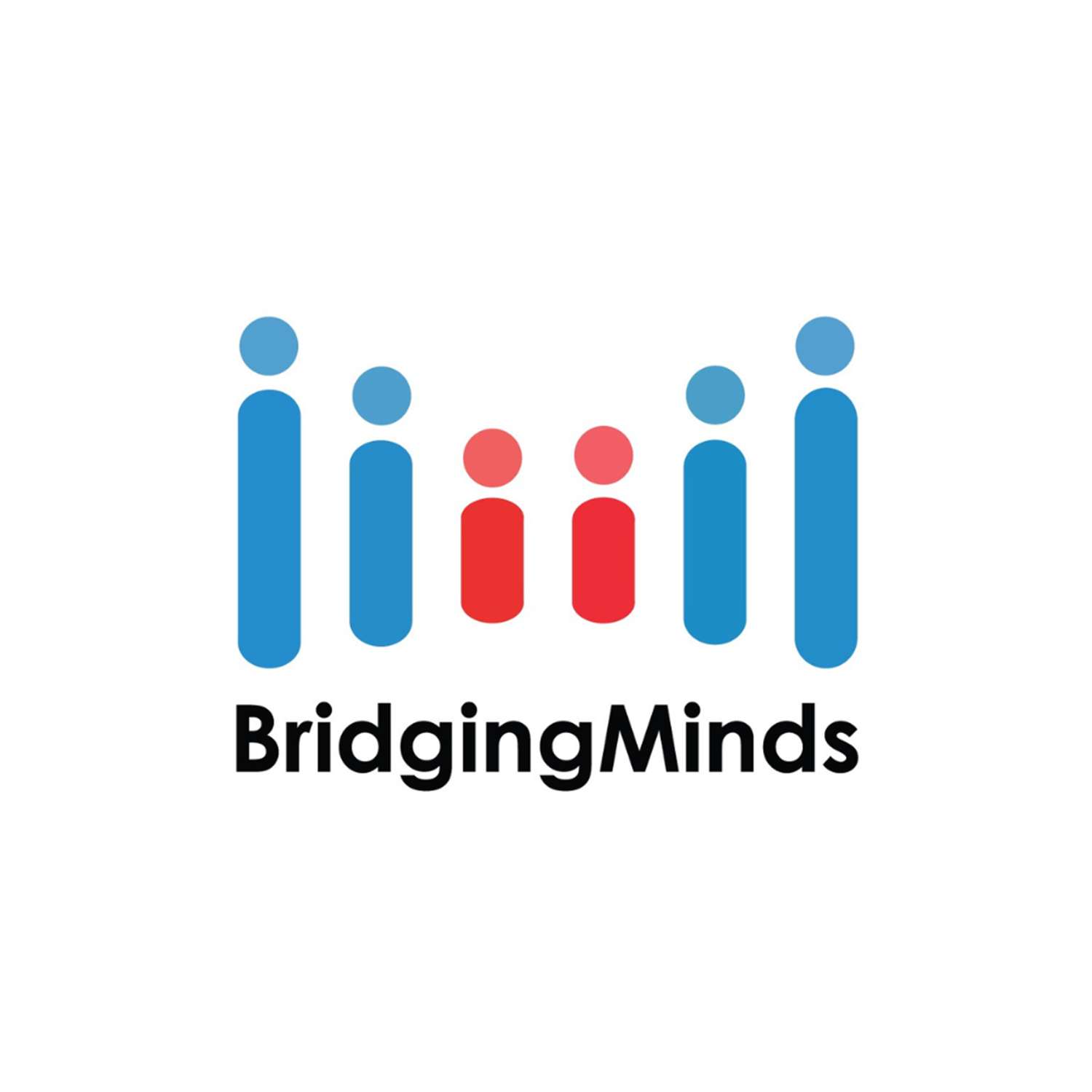 BridgingMinds Network