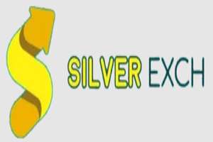 Silver Exchids