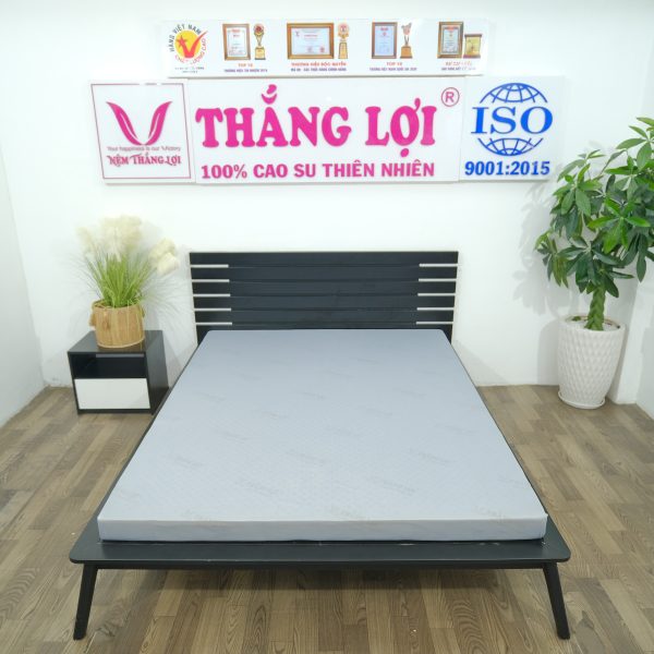 Cửa hàng bán nệm cao su non Bình Dương - KHO NỆM THẮNG LỢI