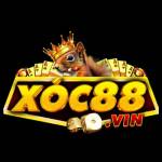 xoc88 vin1