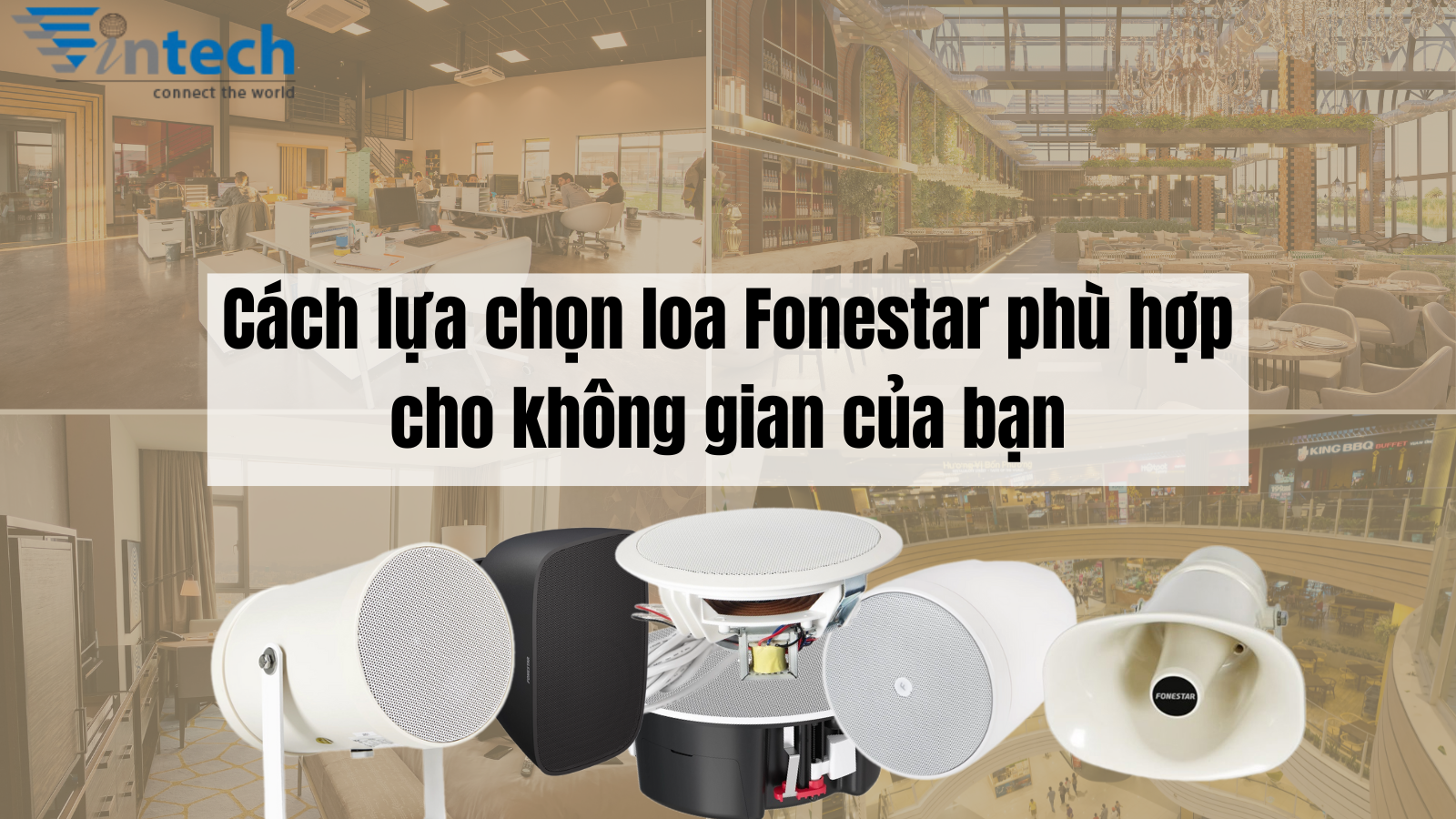 Hướng dẫn lựa chọn loa Fonestar phù hợp cho không gian lắp đặt