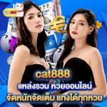 cat888 lottery