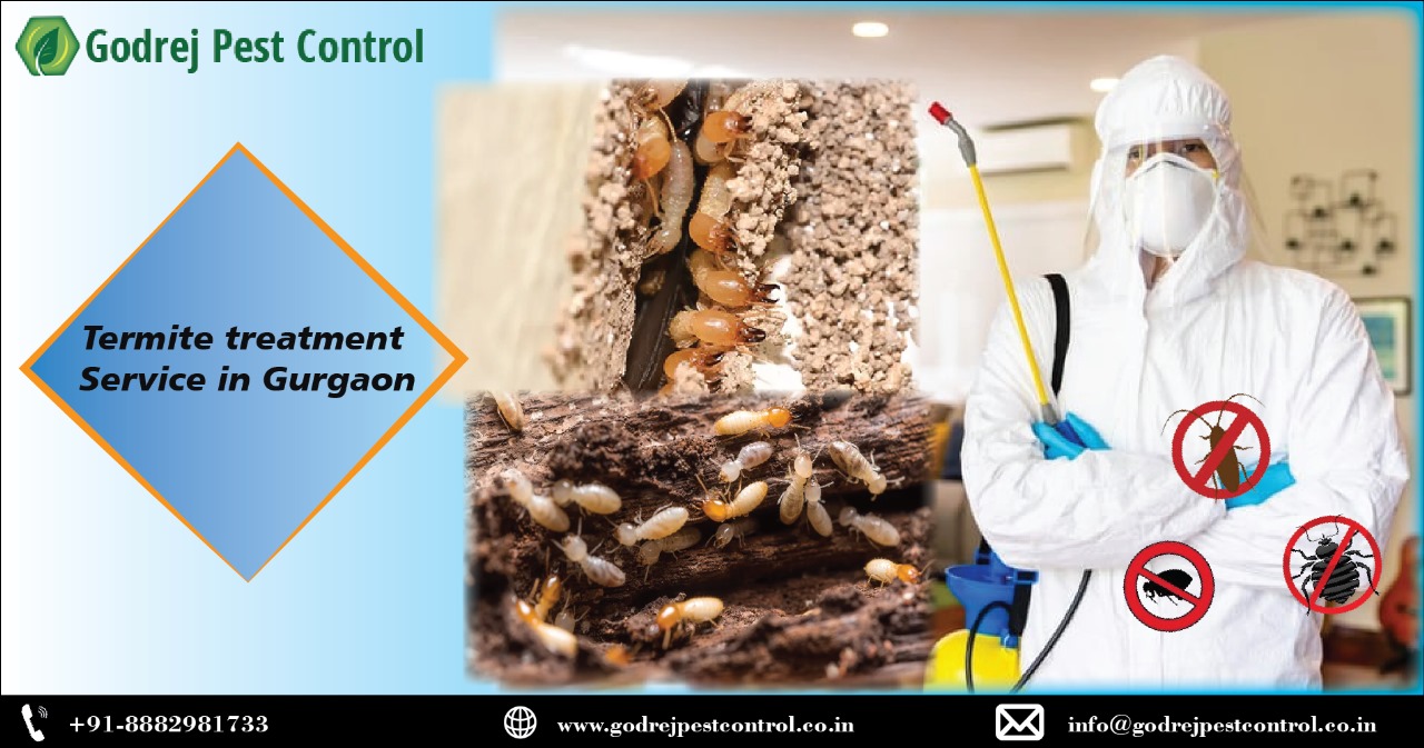 Effective Termite Treatment Services in Gurgaon: A Comprehensive Guide by Godrej Pest Control – Godrej Pest Control