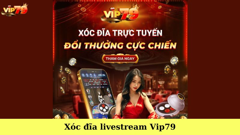 Xóc đĩa livestream Vip79 - Cách chơi chuẩn chỉnh cho tân thủ