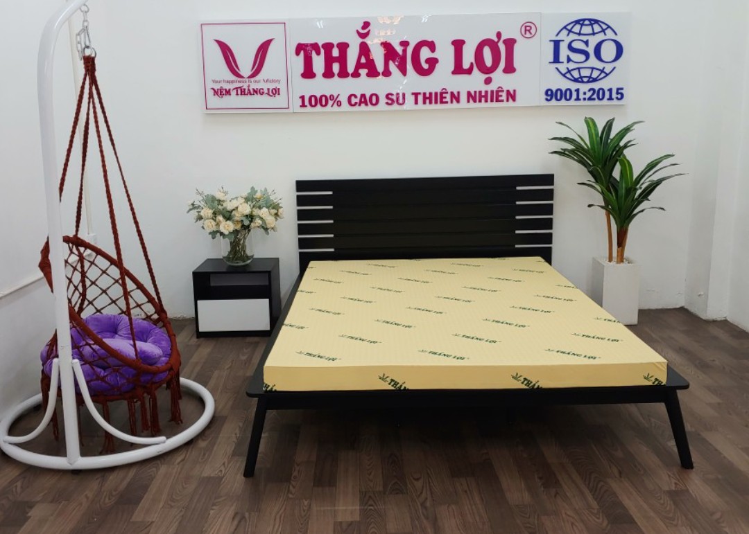 Cửa hàng bán nệm cao su non Tiền Giang - Kho Nệm Thắng Lợi  chính hãng, uy tín - KHO NỆM THẮNG LỢI