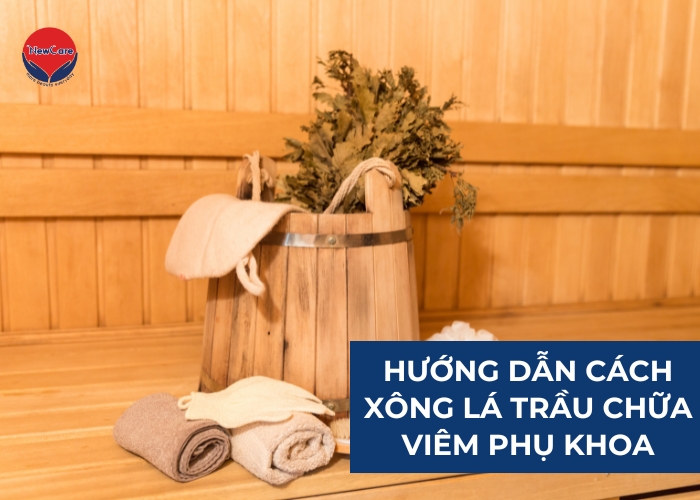 [BÍ QUYẾT] Cách xông lá trầu chữa viêm phụ khoa: Hướng dẫn chi tiết - Newcare - Mỹ phẩm Nhật Bản cao cấp