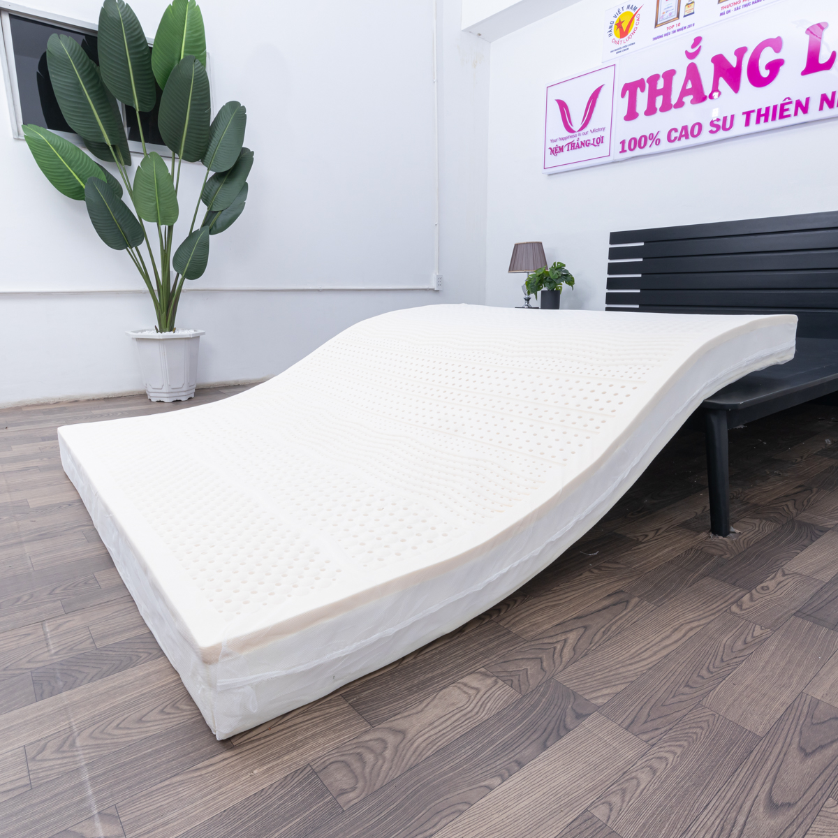 Nệm Cao Su 100% Massage Rosi Thắng Lợi 1m2 x 2m x 15cm - NỆM THẮNG LỢI