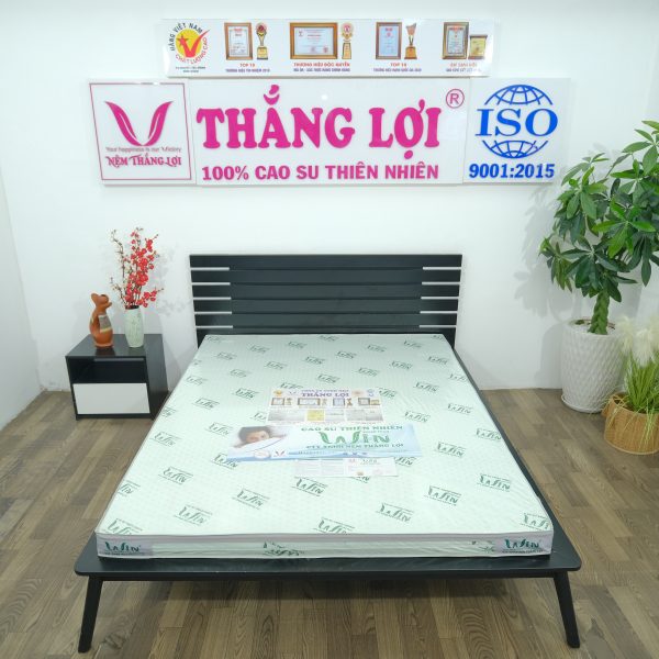 Cửa Hàng Bán Nệm Cao Su Non Tây Ninh - Chất Lượng & Giá Tốt | Kho Nệm Thắng Lợi  - KHO NỆM THẮNG LỢI