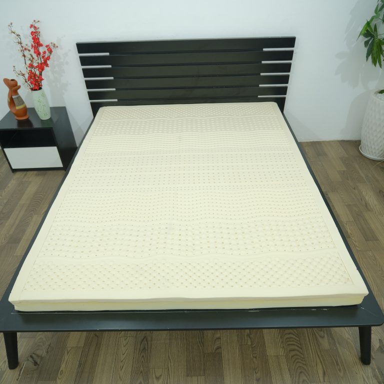 Nệm Cao Su 100% Massage Rosi Thắng Lợi 1m6 x 2m x 10cm - NỆM THẮNG LỢI