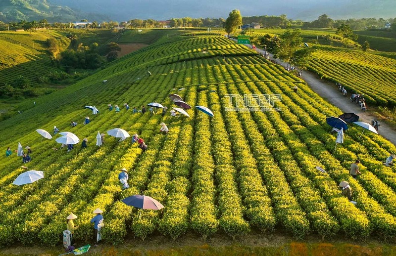 Kinh nghiệm du lịch Thái Nguyên 2 ngày 1 đêm từ A - Z