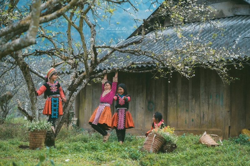 Tết nên đi du lịch ở đâu miền Bắc? Top 10 địa điểm lý tưởng