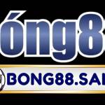 BONG88 BONG88