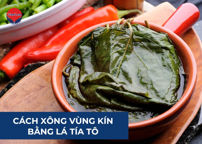 [Chi tiết] Cách sử dụng lá tía tô xông vùng kín tại nhà - Newcare - Mỹ phẩm Nhật Bản cao cấp