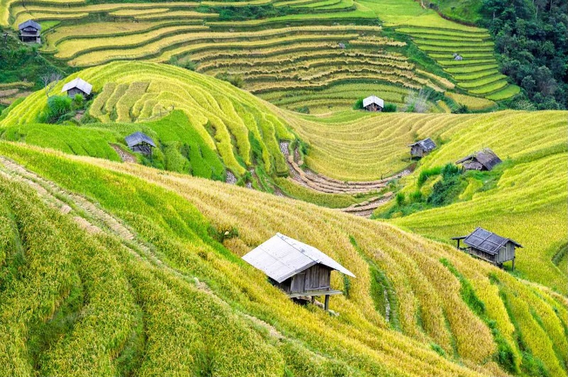 Kinh nghiệm du lịch Mai Châu tháng 9 chi tiết nhất 2025
