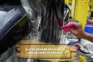 5 lý do nên dán PPF ngay để bảo vệ xe yêu quý -         Nguyễn Decal - Chuyên Dán Keo Xe Design Tem Xe Decal Tem Xe Nguyễn Decal