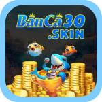 banca30 skin