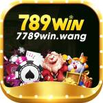 7789win wang