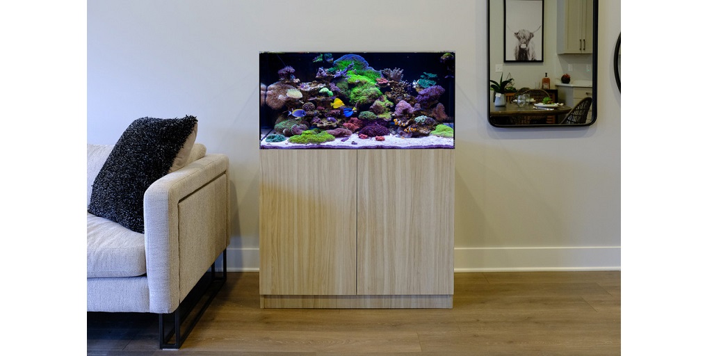 Aquarium Kits That Make Your Home Instantly Stylish - BuzzNewsLive - Best Guest Posting Site