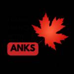 Learn French With Anks