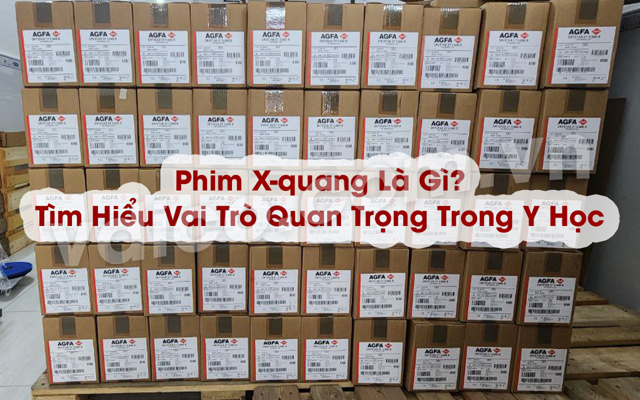 Vai Trò Của Phim X quang Trong Chẩn Đoán Hình Ảnh