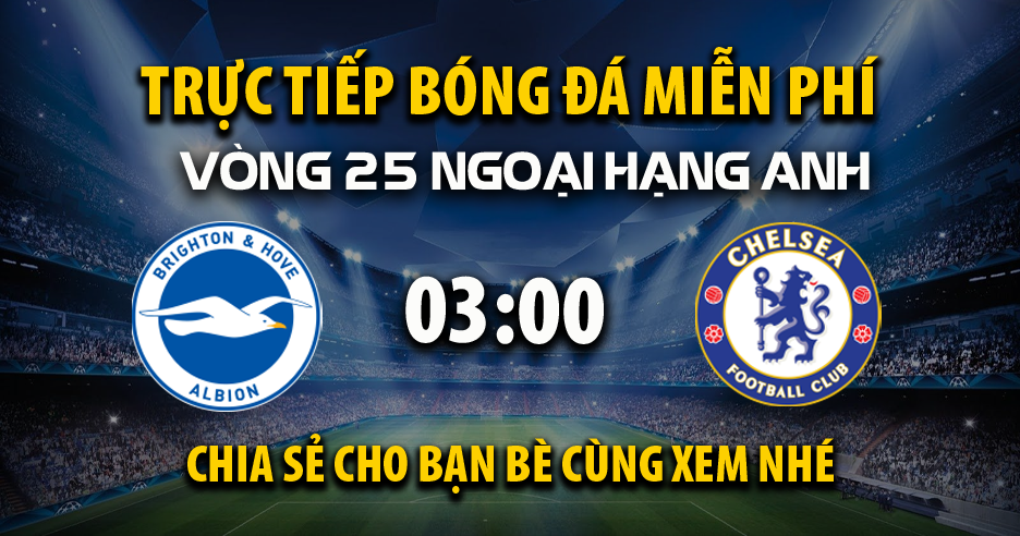 Link trực tiếp Brighton vs Chelsea 03:00, ngày 15/02 - Xoilac365.tv