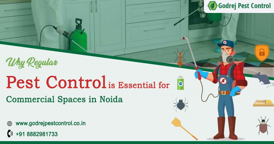 Why Regular Pest Control is Essential for Commercial Spaces in Noida – Godrej Pest Control