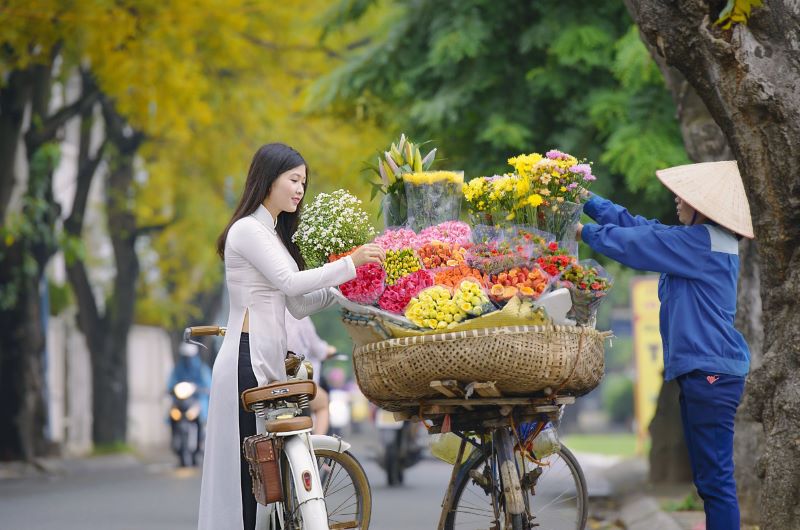 Top 10 địa điểm du lịch mùa thu miền Bắc không thể bỏ lỡ