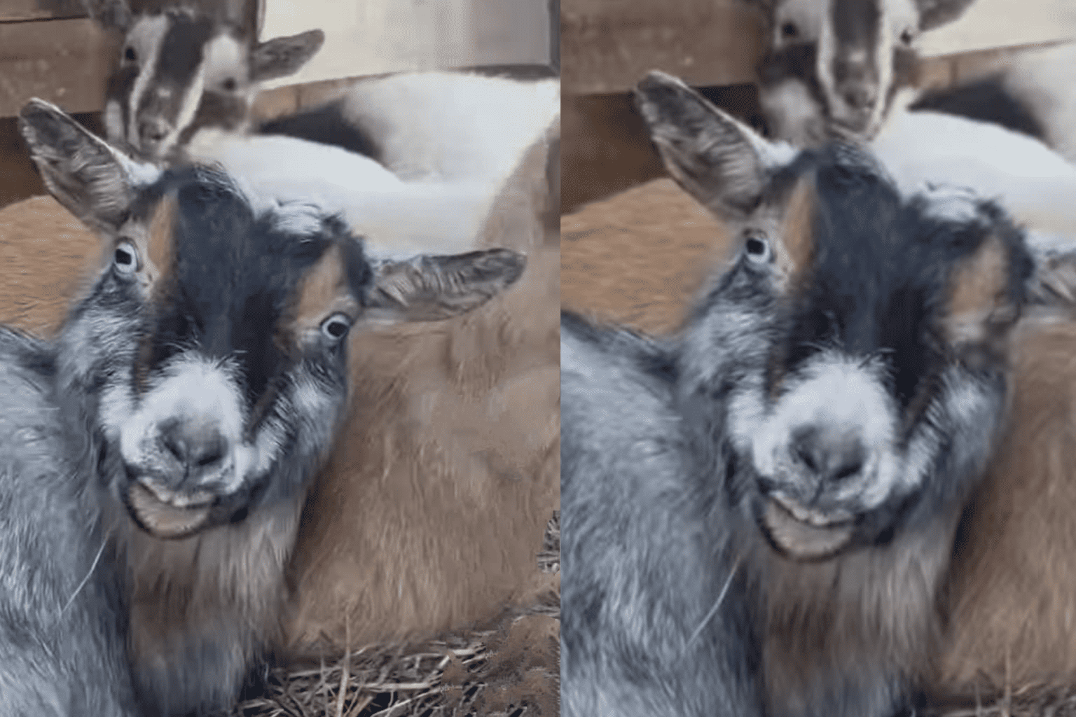 No thoughts behind those eyes, only the abyss ?️??️ - Takfe.com