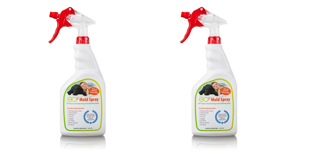 Using a Mold Spray in Your Kitchen - BuzzNewsLive - Best Guest Posting Site