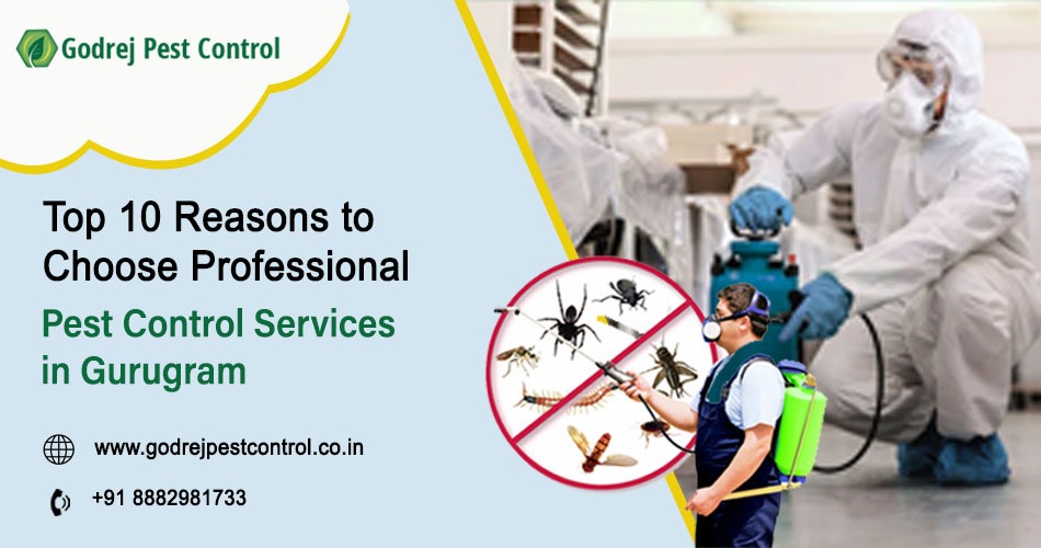 Top 10 Reasons to Choose Professional Pest Control Services in Gurgaon – Godrej Pest Control