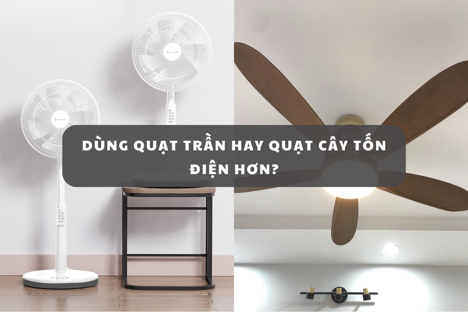 Dùng quạt trần hay quạt cây tốn điện hơn?