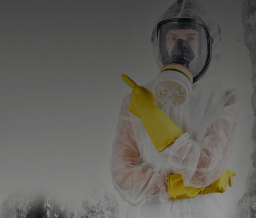 Water Damage Restoration Services | MSI