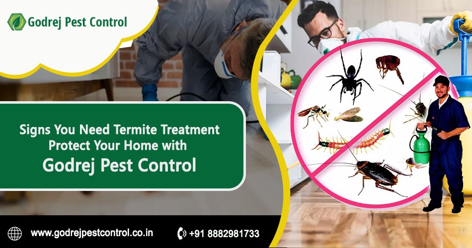 Signs You Need Termite Treatment Protect Your Home with Godrej Pest Control