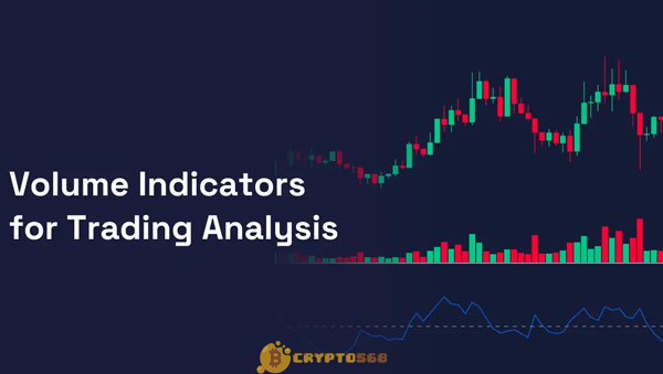 Volume là gì? 4 chiến lược sử dụng Volume trong Crypto